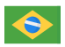 Brazilian Flag's